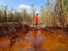 Ropná skvrna ohrožuje ekosystém Mexického zálivu, na řadě míst je ropa už na pobřeží