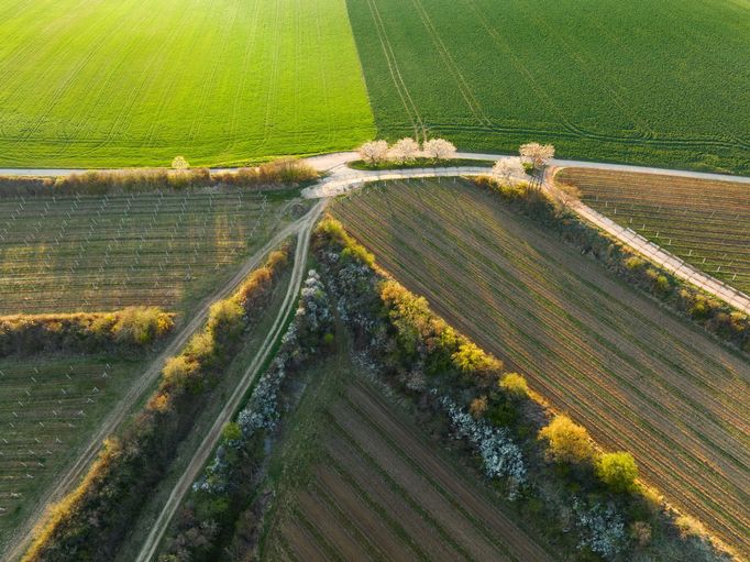 Moravské Slovácko, jižní Morava, fotografie z dronu, fotograf Radek Severa