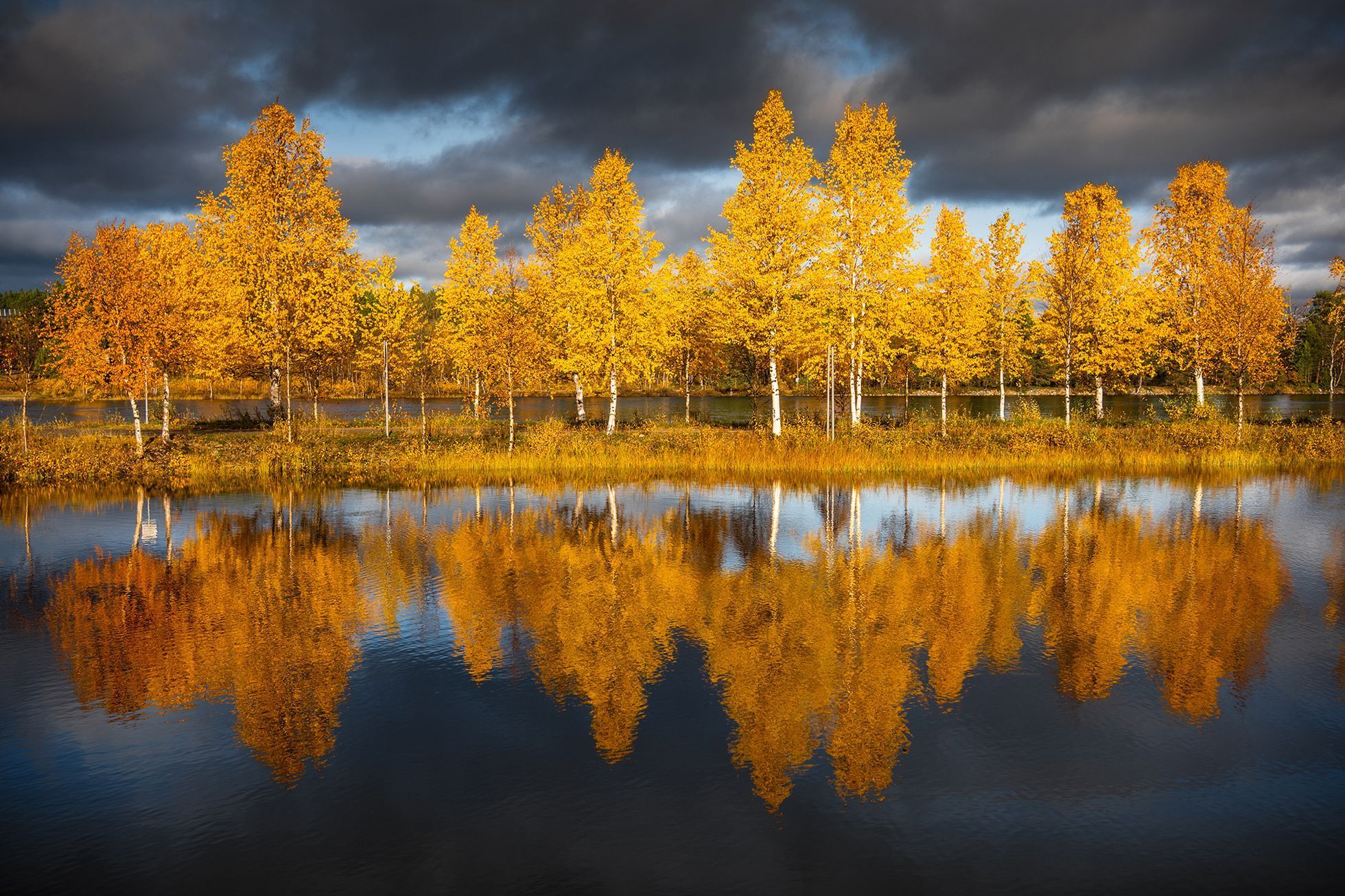 Fotografie Pavla Svobody