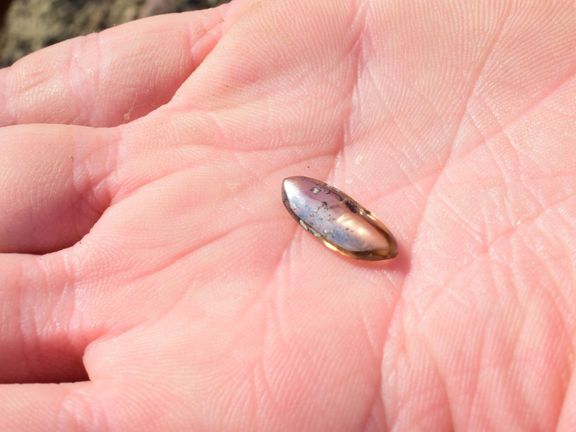 Madison našla diamant o váze 2,79 karátu. Pojmenovala ho William Diamond – na počest svého synovce.