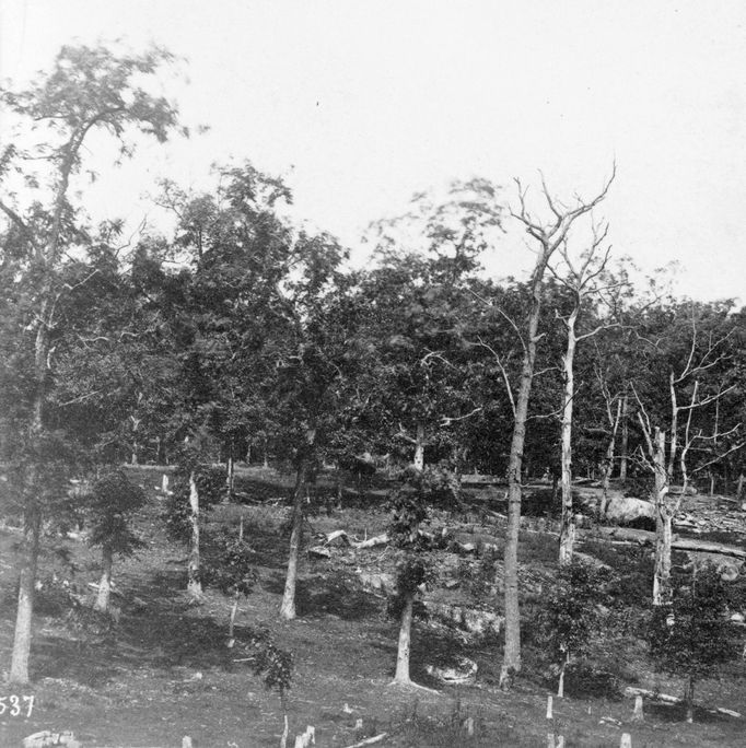 Archivní fotografie pojící se k bitvě u Gettysburgu, která patřila k zásadním momentům americké občanské války Severu proti Jihu v 60. letech 19. století.