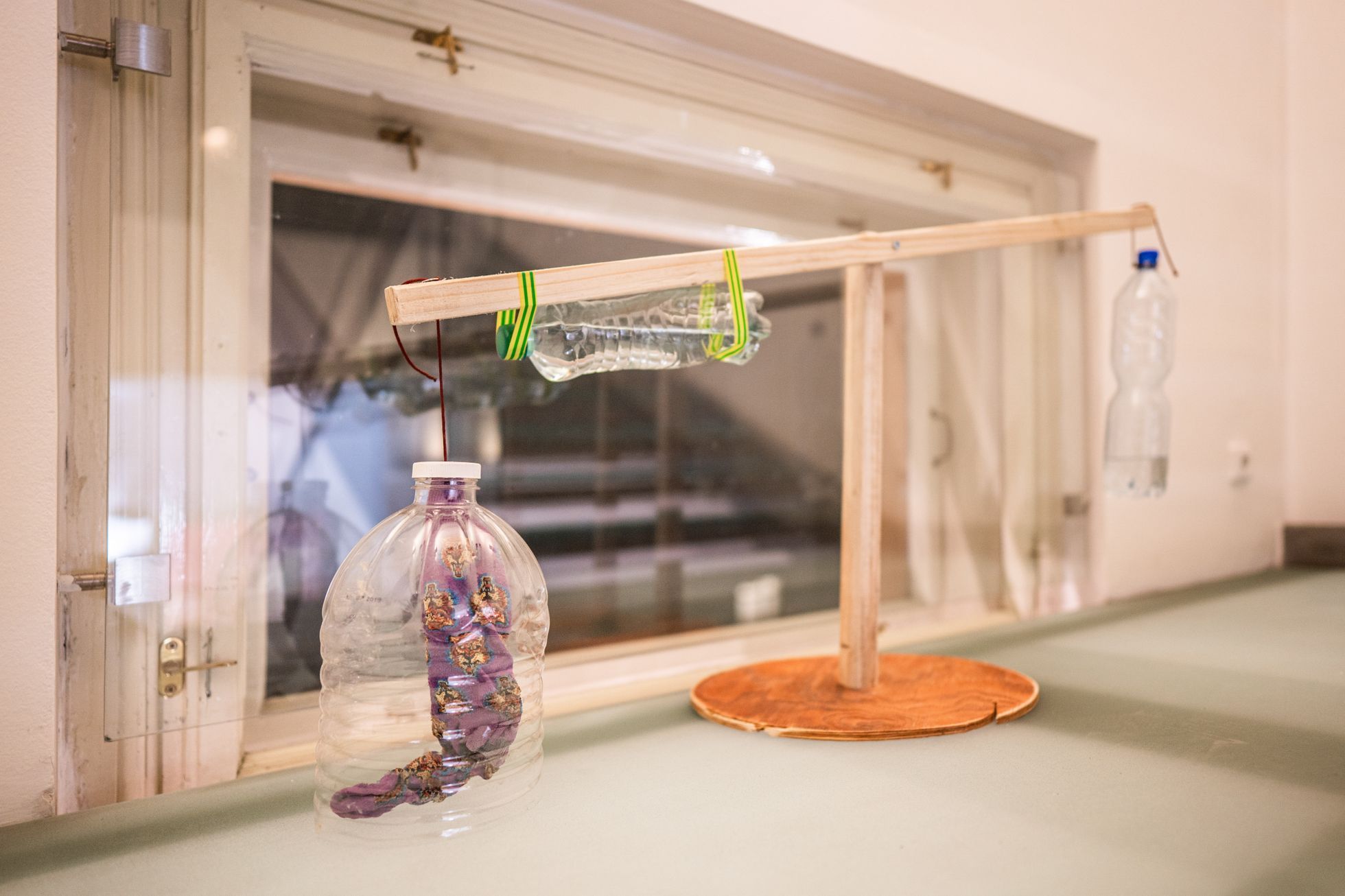 Muzeum Lichožroutů