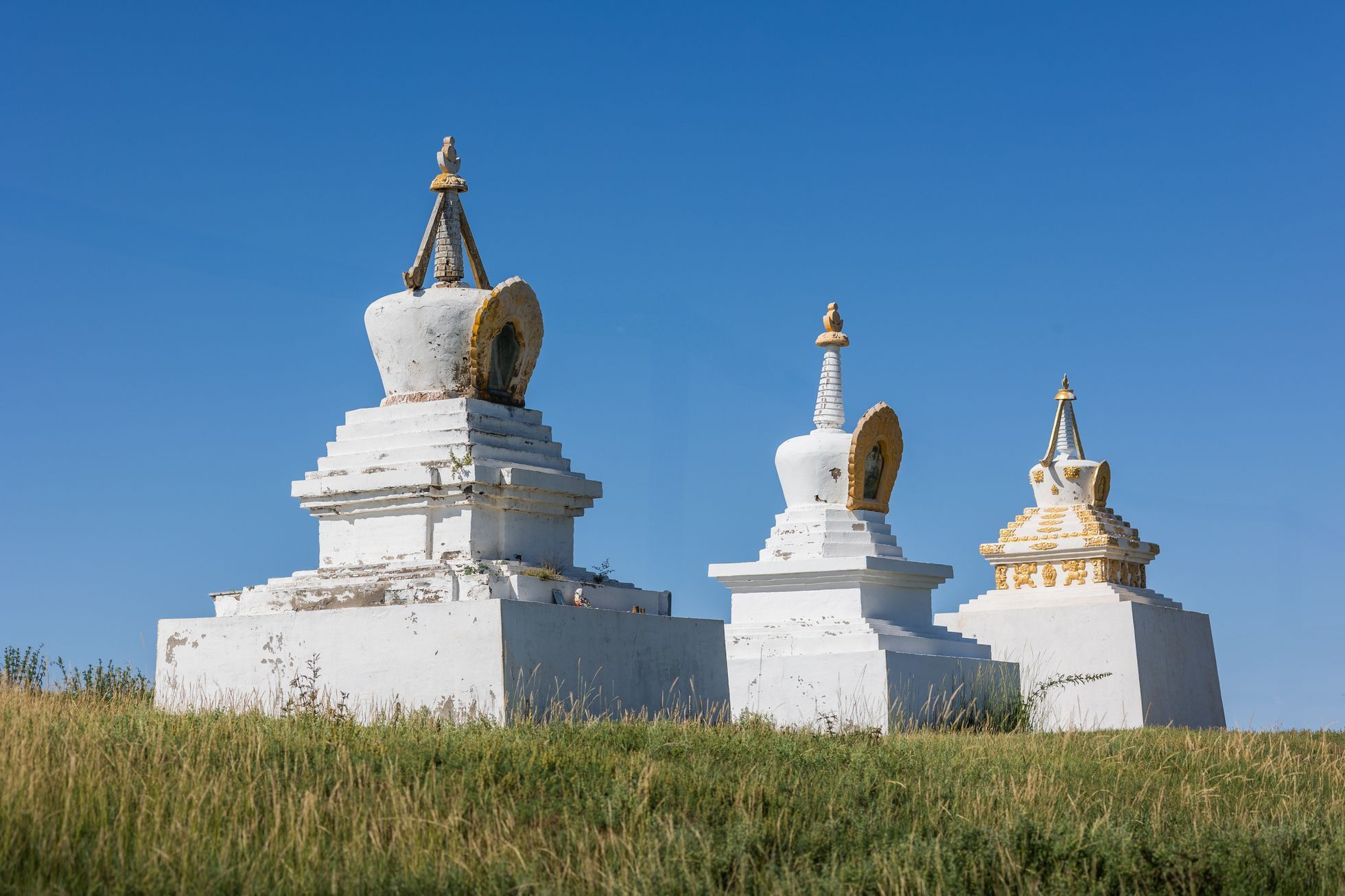 Žlutá žába Dan Přibáň