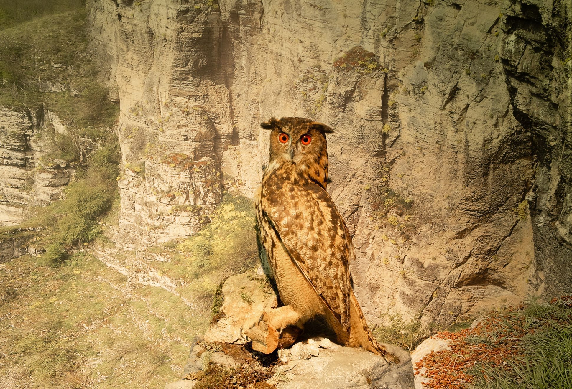 Koněprusy - Přírodní centrum