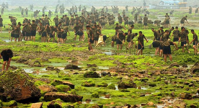 Chinese People's Liberation Army (PLA) soldiers remove algae from a beach near the Olympic Sailing Centre in the city of Qingdao on July 5, 2008. Olympic sailors are not normally afraid of the water, but athletes and coaches say the pollution at the Olympic sailing course in Qingdao makes them very wary of getting wet. The bright green algae that has choked parts of the Olympic course has drawn an unwelcome spotlight on China's environmental record and prompted an ongoing cleanup effort by more than 10,000 people, backed by boats, bulldozers and the military.