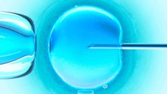 IVF, asistovaná reprodukce, vajíčko, spermie