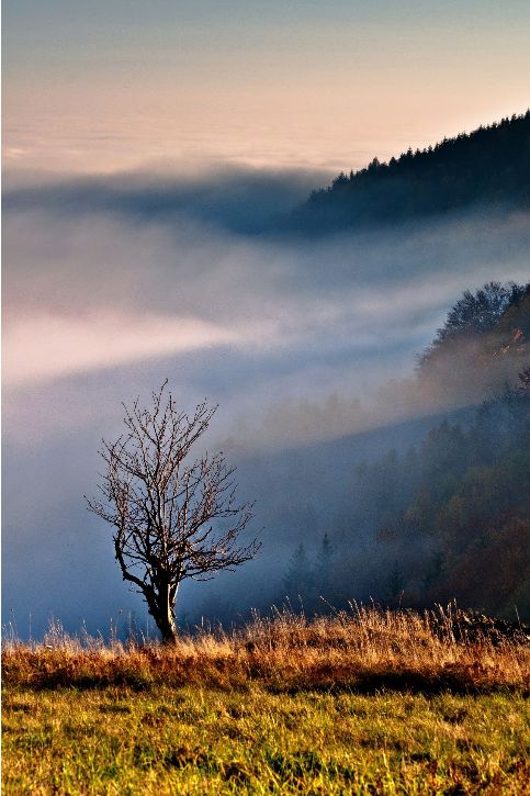 Komáří hůrka | Foto: Aktuálně.cz / Jan Watzek / Jan Watzek - fotograf / www.foto.watzek.cz