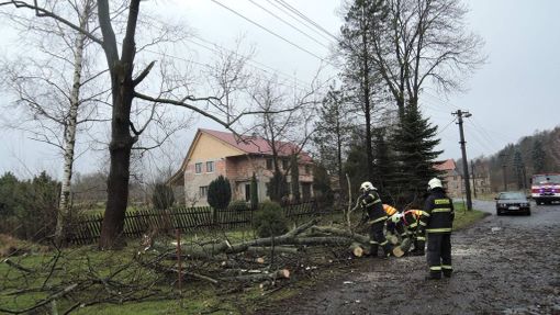 Odstraňování stromu spadlého na elektrické vedení v obci Bulovka - Arnoltice na Liberecku.
