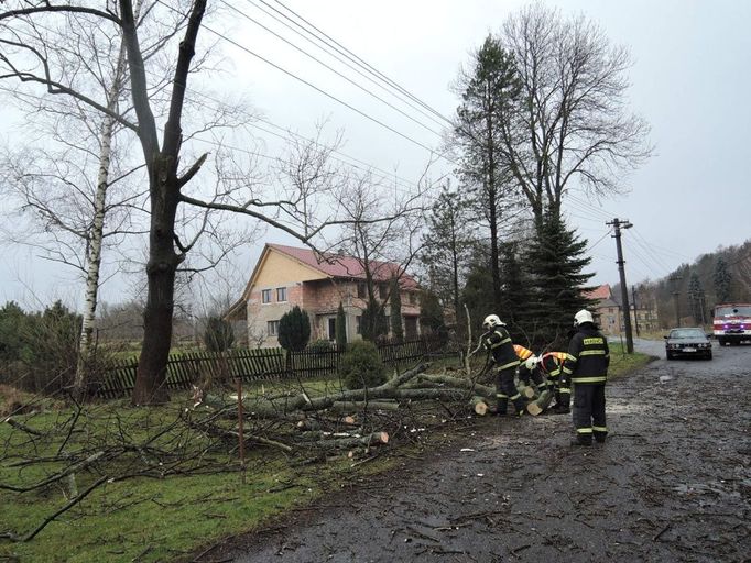 Odstraňování stromu spadlého na elektrické vedení v obci Bulovka - Arnoltice na Liberecku.