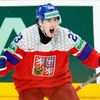 Lukáš Sedlák v semifinále Česko - Švédsko