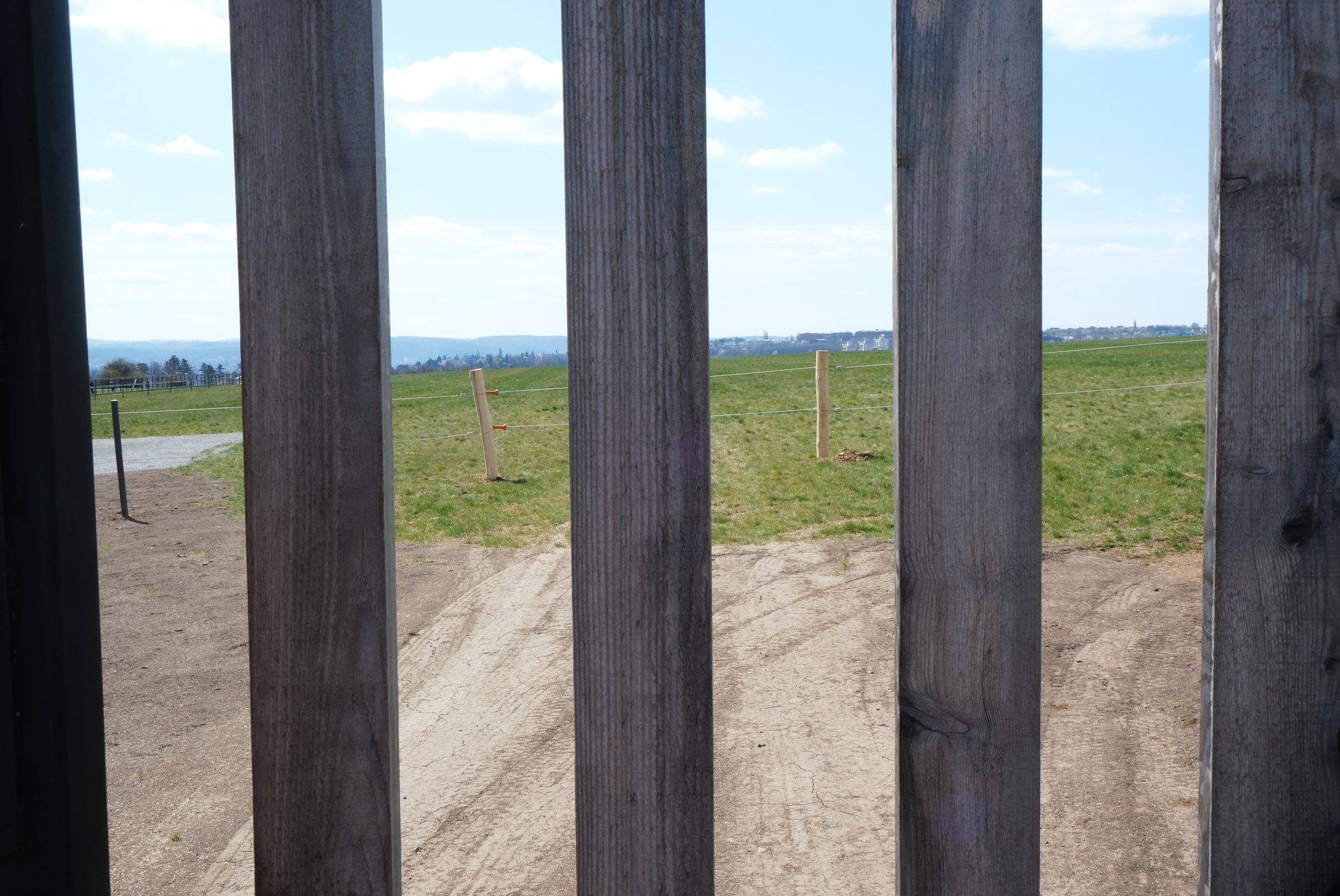 Koně na Dívčích hradech