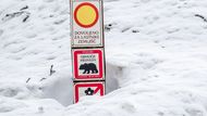 Slovinští pořadatelé byli připraveni na všechno, účastníky světového šampionátu varovali i před zatoulanými medvědy.