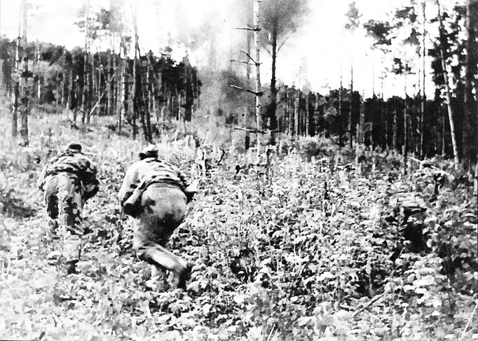 Karpatsko-dukelská operace. Podzim, 1944.