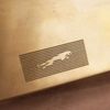 Jaguar nová identita