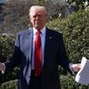 Prezident Donald Trump, Elon Musk, Tesla