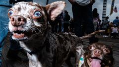 Sony World Photography Awards 2025