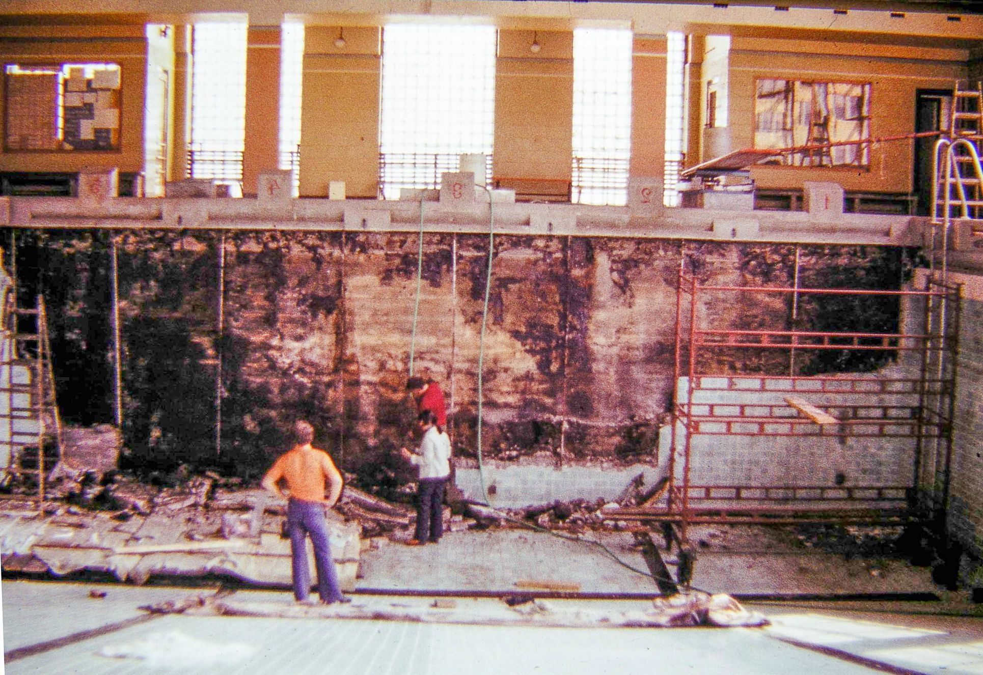 Mozkožrout, PAME, bakterie, epidemie, Ústí nad Labem, Domácí