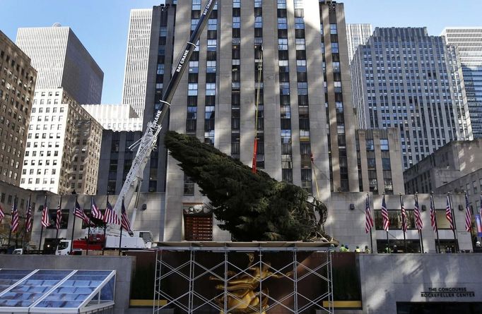 Smrk ztepilý byl do New Yorku dovezen z Sheltonu ve státě Connecticut, měří 23 metrů.