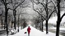 A woman walk her dog on a snow covered street in central Stockholm November 29, 2012. REUTERS/Jessica Gow/Scanpix (SWEDEN - Tags: ENVIRONMENT SOCIETY ANIMALS TPX IMAGES OF THE DAY) THIS IMAGE HAS BEEN SUPPLIED BY A THIRD PARTY. IT IS DISTRIBUTED, EXACTLY AS RECEIVED BY REUTERS, AS A SERVICE TO CLIENTS. SWEDEN OUT. NO COMMERCIAL OR EDITORIAL SALES IN SWEDEN Published: Lis. 29, 2012, 12:45 odp.