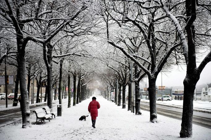 A woman walk her dog on a snow covered street in central Stockholm November 29, 2012. REUTERS/Jessica Gow/Scanpix (SWEDEN - Tags: ENVIRONMENT SOCIETY ANIMALS TPX IMAGES OF THE DAY) THIS IMAGE HAS BEEN SUPPLIED BY A THIRD PARTY. IT IS DISTRIBUTED, EXACTLY AS RECEIVED BY REUTERS, AS A SERVICE TO CLIENTS. SWEDEN OUT. NO COMMERCIAL OR EDITORIAL SALES IN SWEDEN Published: Lis. 29, 2012, 12:45 odp.