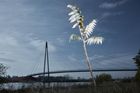 Jako v San Francisku. Nový most na Mělnicku pojí největší ostrov na Vltavě se světem