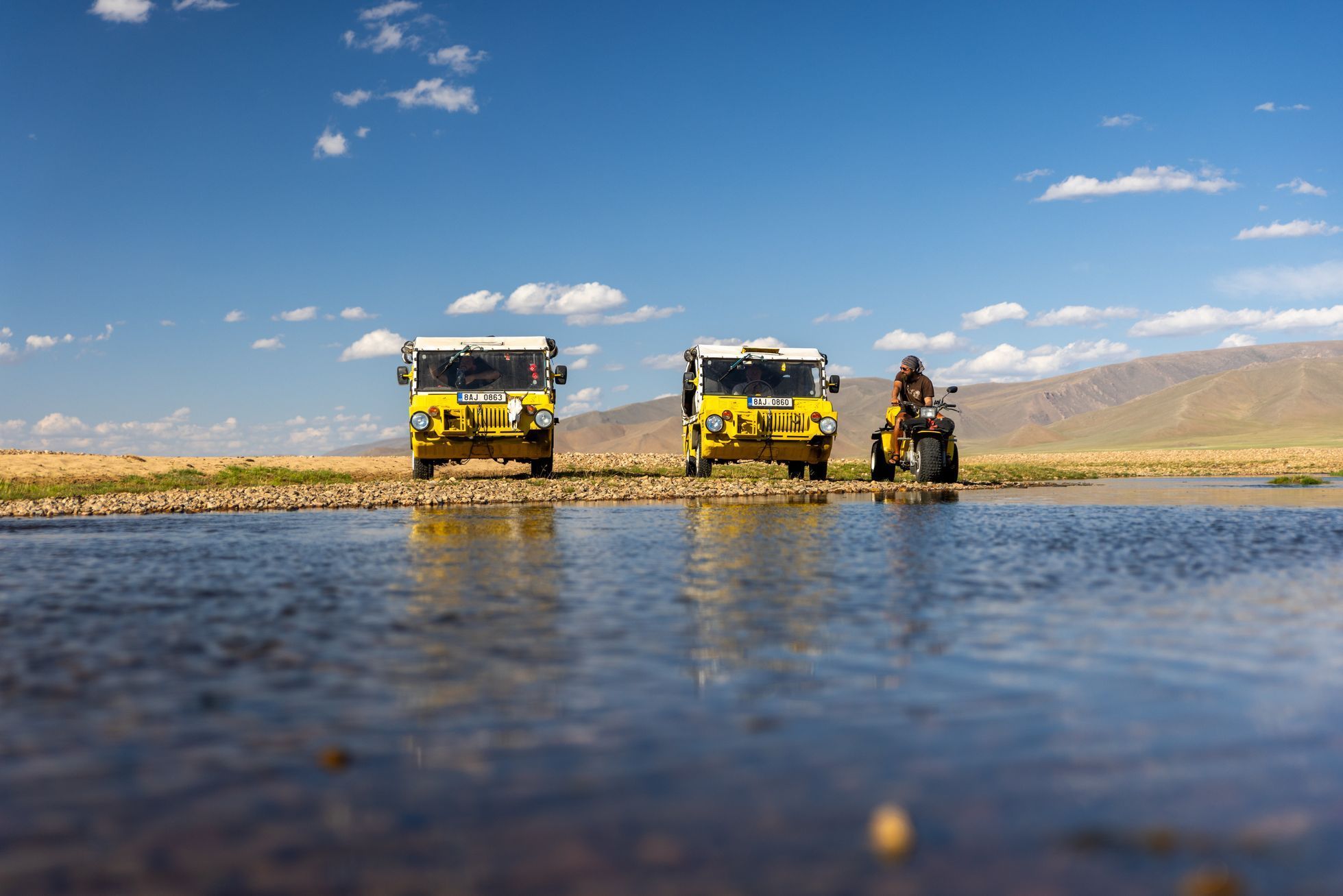 Žlutá žába pluje