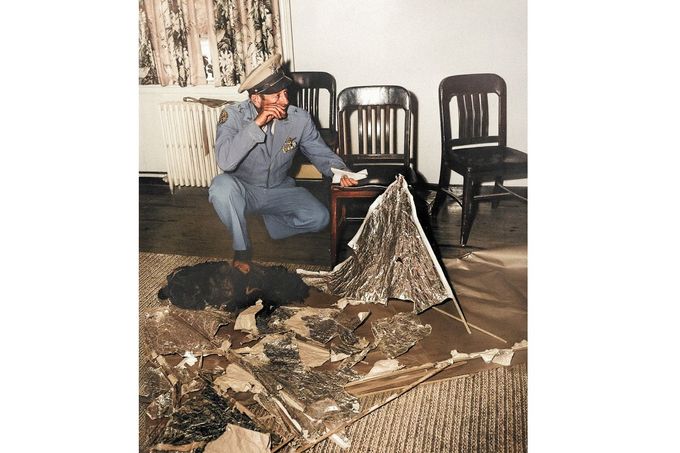 Roswellský incident 1947: Fakta, mýty a tajný projekt Mogul - Aktuálně.cz