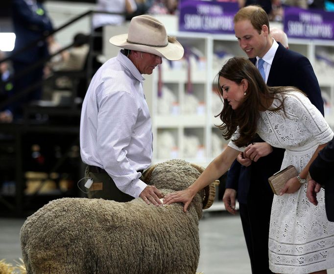 Britain's Catherine, Duchess of Cambridge, strokes Fred the ram at the Royal Easter Show in Sydney