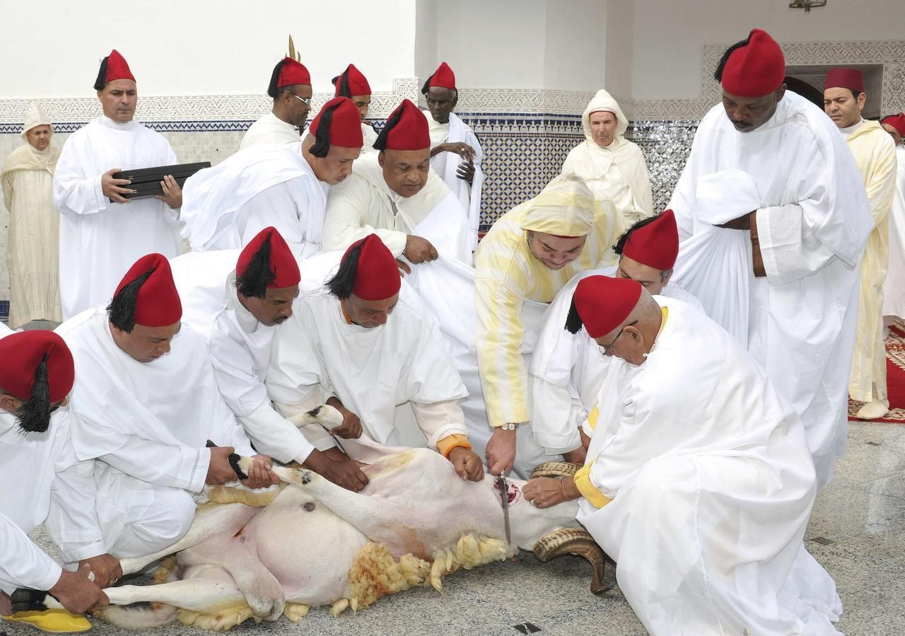 Foto: Muslimský svátek Íd al-adhá přinesl smrt nespočtu zvířat
