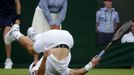 Jürgen Melzer na Wimbledonu 2014