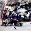 Hokej, MS 2013: Slovensko - USA: Rastislav Staňa dostává gól