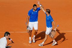 Finále Davis Cupu: Tsonga je zraněný, hrát bude Gasquet