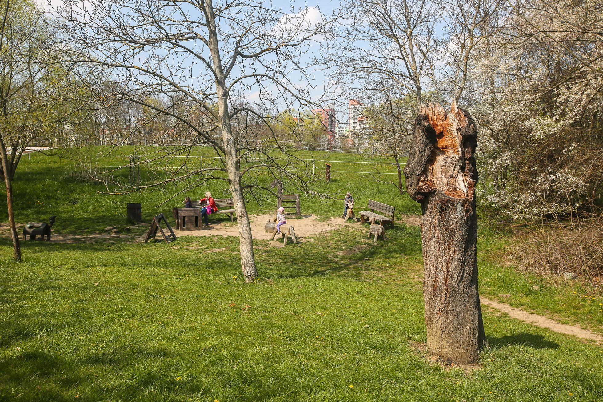 Toulcův dvůr, mokřad, park, louka, Praha Hostivař