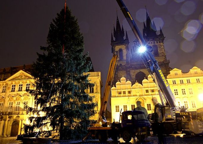 Po třech hodinách se podařilo vánoční strom na Staroměstském náměstí upevnit.