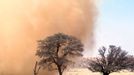 Sandstorm in the Kalahari