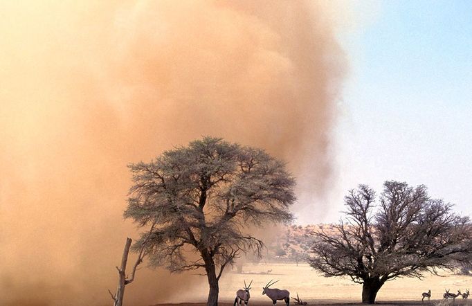 Sandstorm in the Kalahari