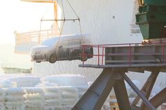 Místo aut nepojízdná iglú. Vykládání zmrzlých vozů z lodi ve Vladivostoku je senzací