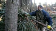 Práce na pasekách není nijak složitá. Větve, které zůstaly na zemi po odvezení kmenů, je potřeba dát na hromady na okraji paseky, kde je později zpracuje štěpkovač.