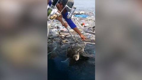 Želvy se zamotaly do starých sítí a plastového odpadu. Zachránili je rybáři