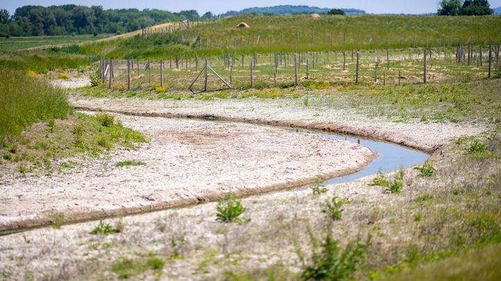 Češi vrací do krajiny aleje, sady, remízky i tůně. Chystají se tak na extrémy počasí; Zdroj foto: Adapterra Awards - Nadace Partnerství (Vojta Herout)