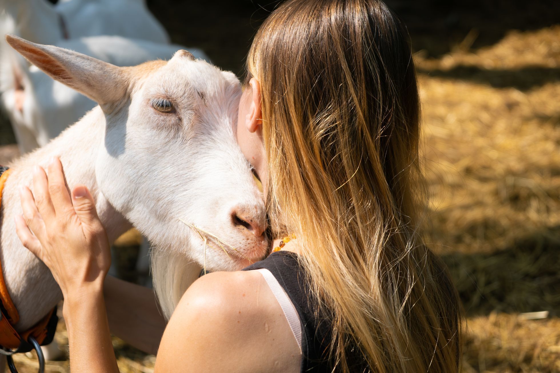 Náš mlýn v Hradčanech