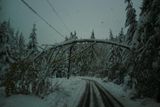 V okolí Rožnova pod Radhoštěm se stromy zatížené sněhem sklání nebezpečně nízko nad silnice.