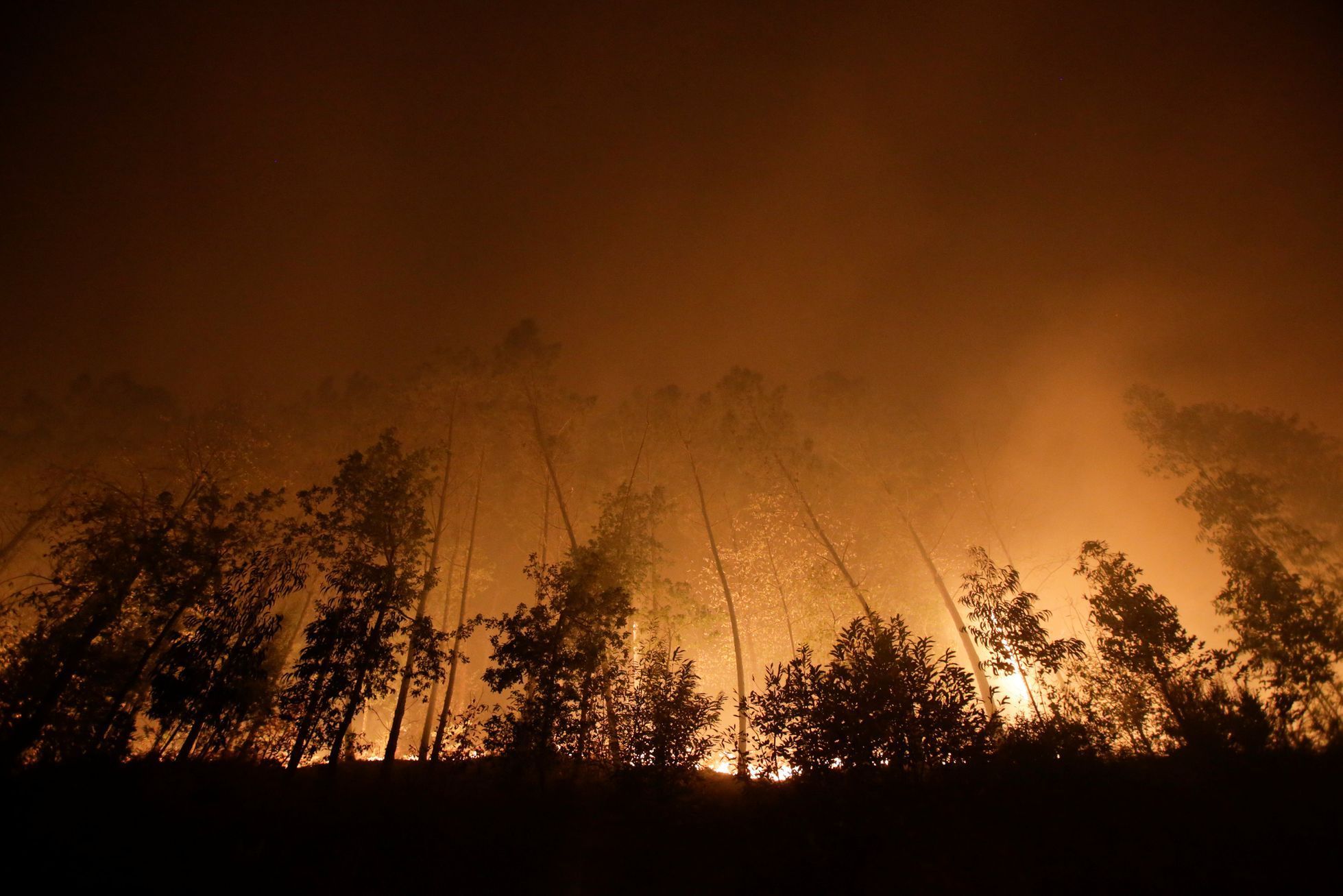 Lesní požáry ve Španělsku