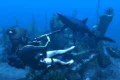 Launch trailer z Tomb Raider Underworld