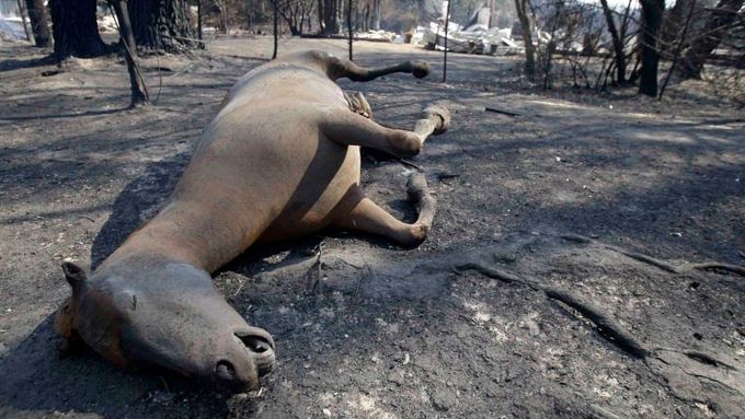 Austrálie bojuje s nejhorším požárem v historii