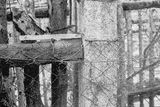 Stanislav Jelínek ml. prchal ze zahrady v části, kde byl nižší, ale trojitý plot. Byl bosý, bačkory zůstaly po boji s otcem ve studni. Detailní záběr jeho stopy po ponožce na plotě. Policejní fotografie z vyšetřování případu vraždy ve Vonoklasech, která byla publikovaná v roce 1968 v Kriminalistickém sborníku.