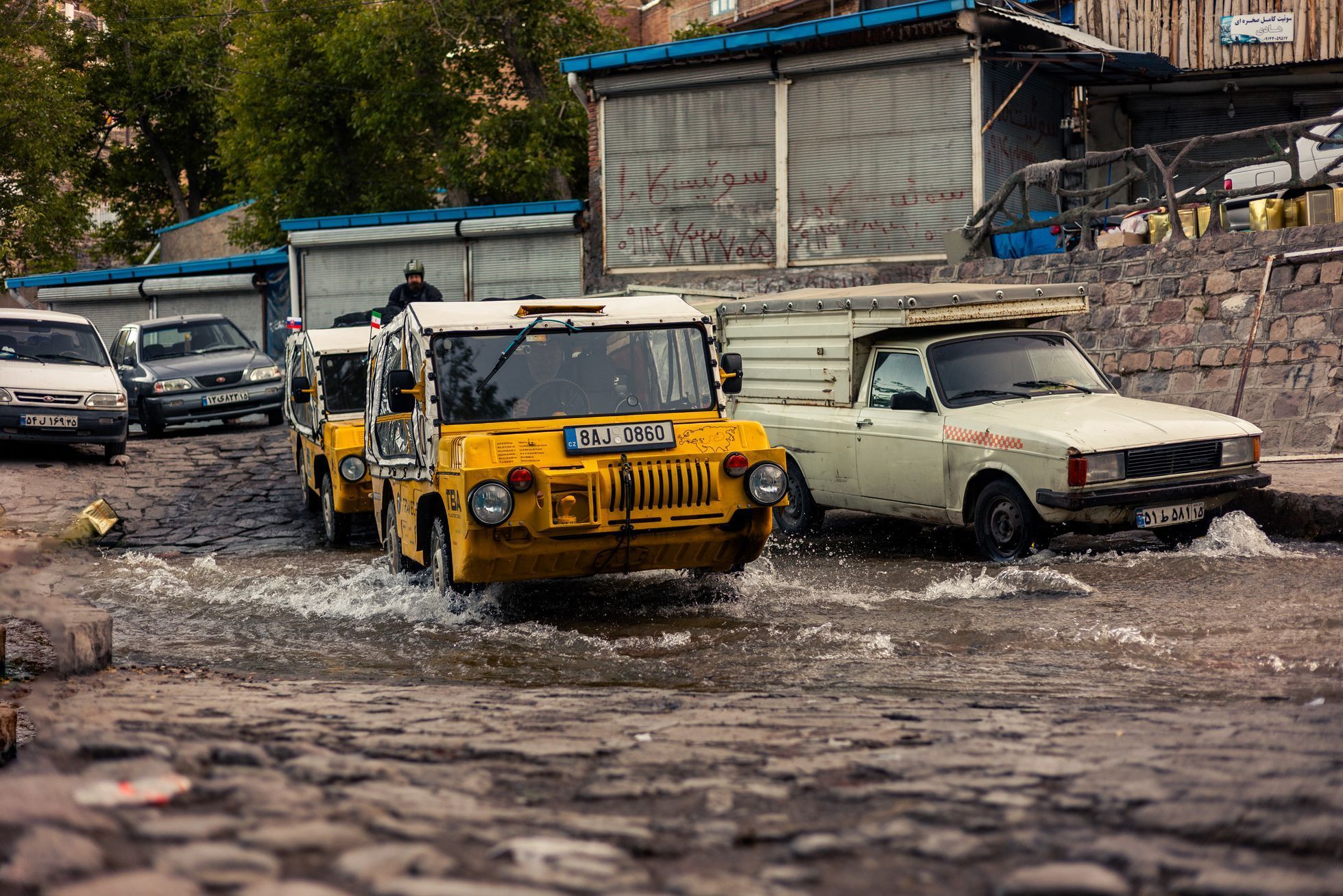 žlutá žába irán O7