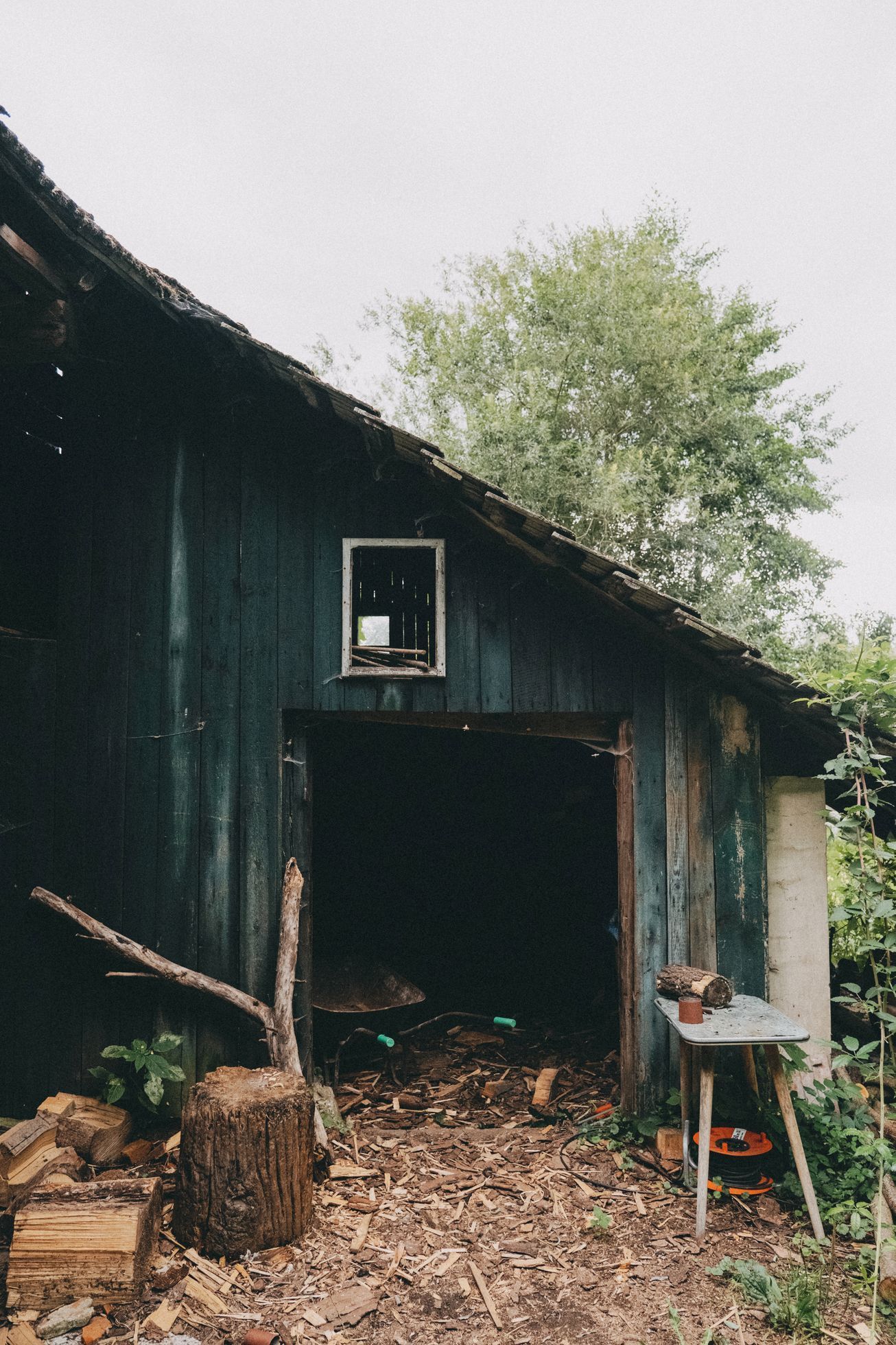 na okraji domov můj, kniha, rodina, bydlení, dům, podnikatel