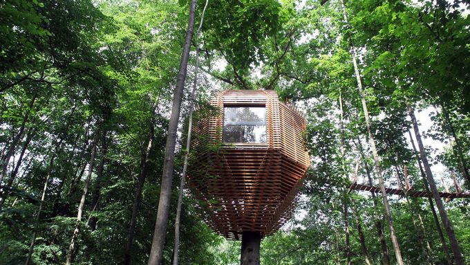Stromový dům připomíná šišku. Architekti se při jeho tvorbě inspirovali životem ptáků
