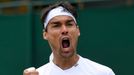 Wimbledon 2016: Fabio Fognini